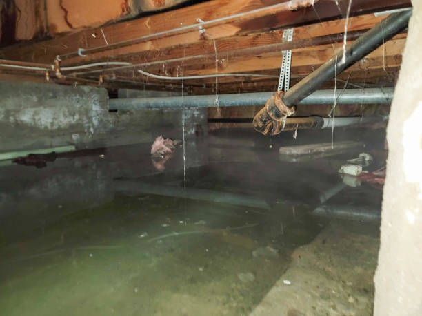 Best Commercial water damage restoration  in Edgemont Park, MI