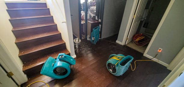 Best Water damage restoration near me  in Edgemont Park, MI