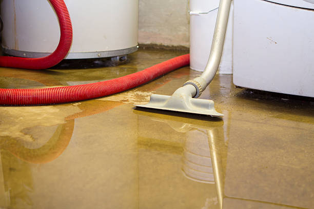 Sewage cleanup and water damage restoration in MI