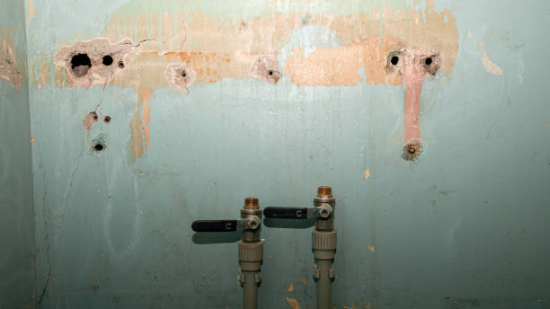 Best Mold removal after water damage  in Edgemont Park, MI