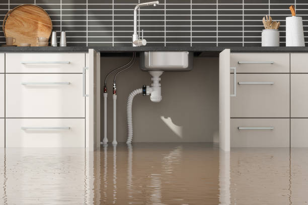 Best 24/7 water damage repair  in Edgemont Park, MI
