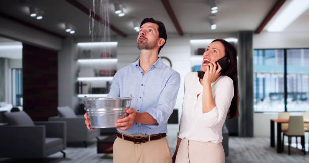 Best Mold removal after water damage  in Edgemont Park, MI